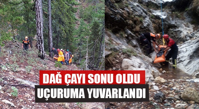 Dağ Çayı Sonu Oldu Uçuruma Yuvarlandı