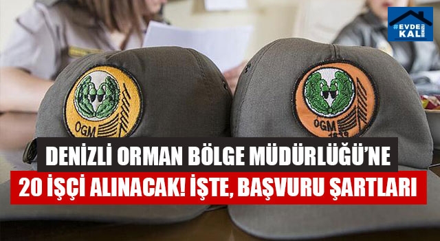 Denizli orman Bölge Müdürlüğü’ne 20 işçi alınacak! İşte, başvuru şartları