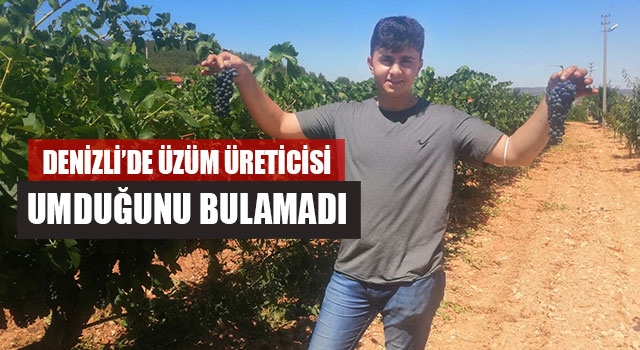 Denizli’de Üzüm Üreticisi Umduğunu Bulamadı