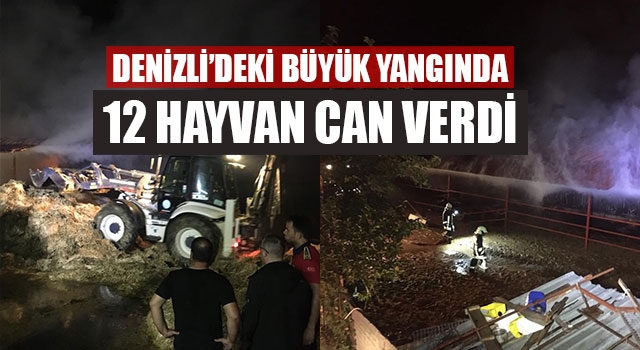 Denizli’deki Büyük Yangında 12 Hayvan  Can Verdi
