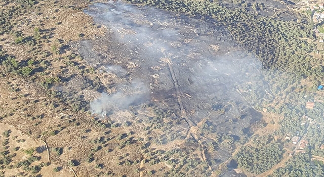 İzmir Bayındır’da evde çıkan yangın zeytinliğe sıçradı