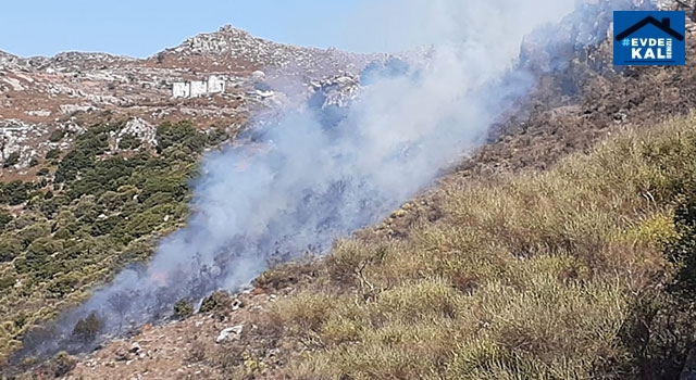 Muğla Bodrum’da orman yangını