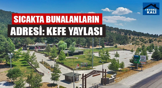 Sıcakta Bunalanların Adresi: Kefe Yaylası
