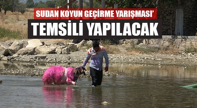 Sudan Koyun Geçirme Yarışması’ Temsili Yapılacak