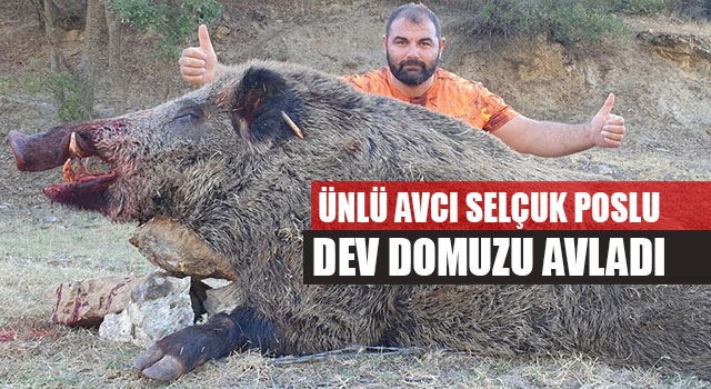 Ünlü Avcı Selçuk Poslu, Dev Domuzu Avladı