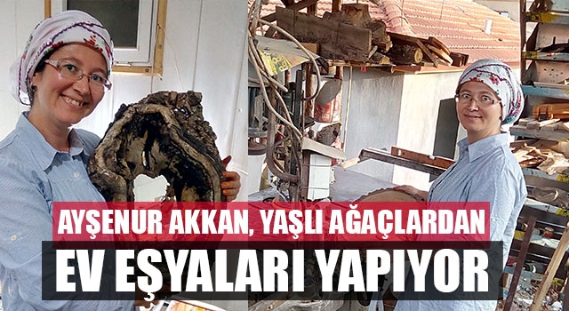 Ayşenur Akkan, yaşlı ağaçlardan ev eşyaları yapıyor