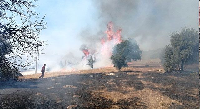 Bozdoğan’ da Makilik Alanda Yangın
