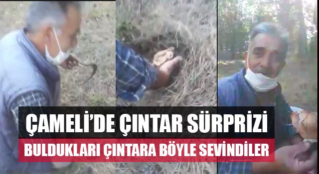 Çameli’de Çıntar Sürprizi Buldukları Çıntara Böyle Sevindiler