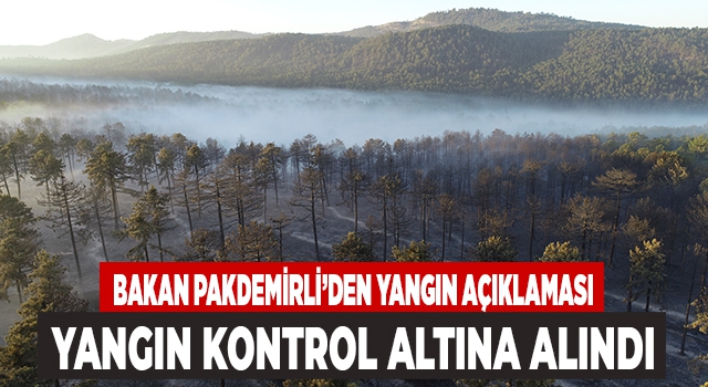 Denizli’de orman yangını kontrol altına alındı