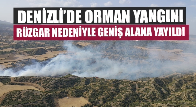 Denizli’de Orman Yangını Rüzgar Nedeniyle Geniş Alana Yayıldı