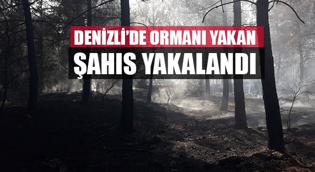 Denizli’de Ormanı Yakan Şahıs Yakalandı