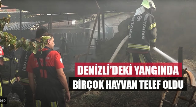 Sarayköy'deki samanlık Yangınında Birçok Hayvan Telef Oldu