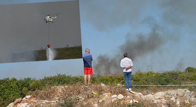 Didim’de çıkan maki yangını 250 dekarlık alanı yaktı