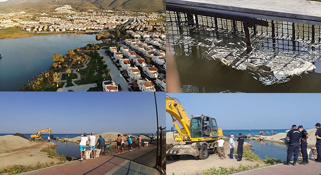 Kuşadası Kocagöl’de Balık Ölümlerine İnceleme