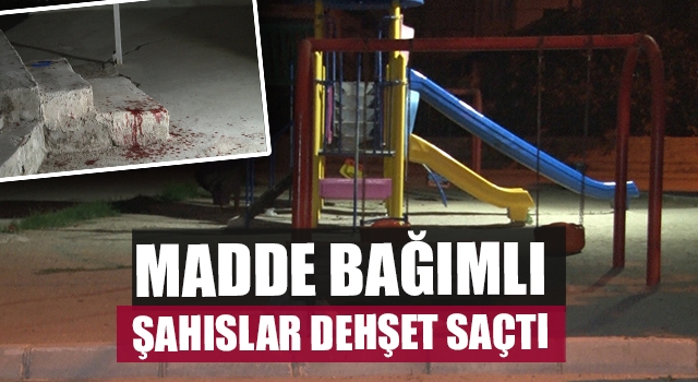 Madde Bağımlı Şahıslar Dehşet Saçtı