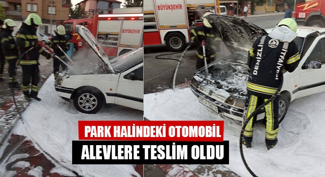 Park Halindeki Otomobil Alevlere Teslim Oldu