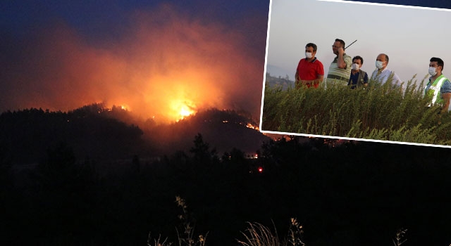 Söke’de çıkan orman yangını arı kovanlarını küle çevirdi
