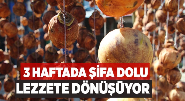 3 Haftada Şifa Dolu Lezzete Dönüşüyor 