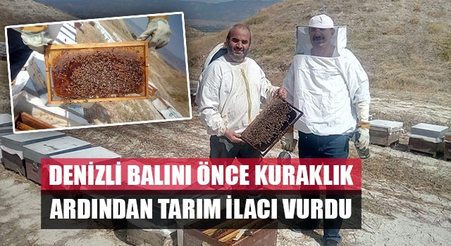 Denizli Balını Önce Kuraklık Ardından Tarım İlacı Vurdu