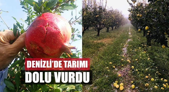 Denizli’de Tarımı Dolu Vurdu