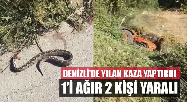 Denizli’de yılan kaza yaptırdı 1’i ağır 2 kişi yaralı