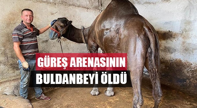 Güreş Arenasının Buldanbeyi Öldü