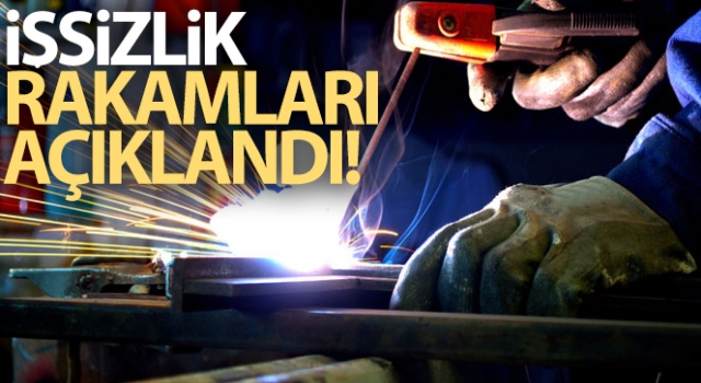 İşsizlik Rakamları belli oldu