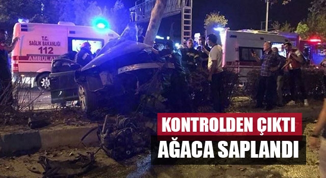 Kontrolden Çıktı Ağaca Saplandı