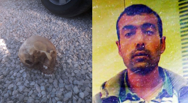 Köpeklerin bulduğu kafatası Mehmet Ali Koran’a aitmiş