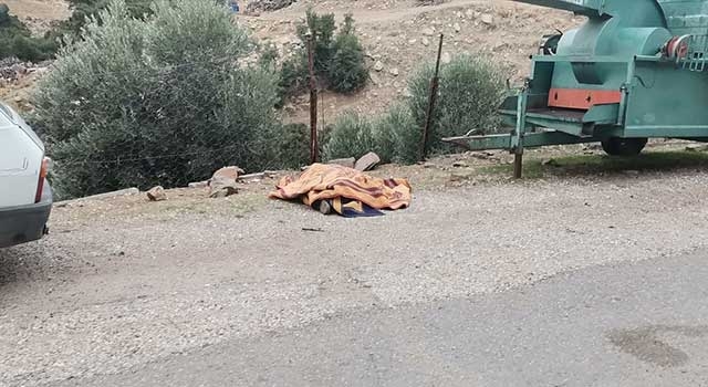 Kula’da Osman Demir zeytin tarlasında ölü bulundu
