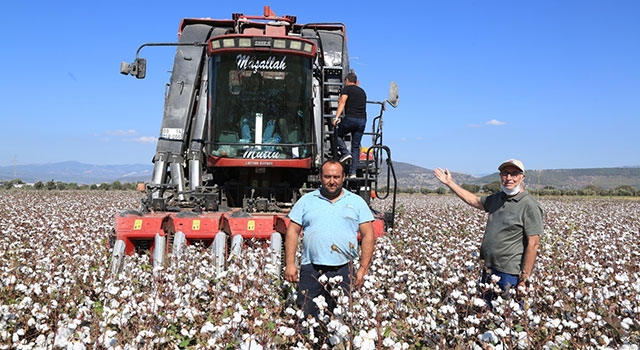 Milas’taki Pamukçular İkinci Hasat Makinesiyle Mağdur Olmayacak