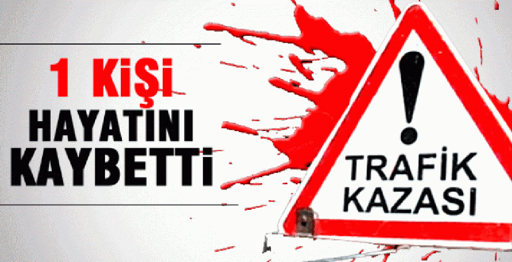 Muğla Dalaman’da 2 Otomobil Çarpıştı 1 Kişi Öldü