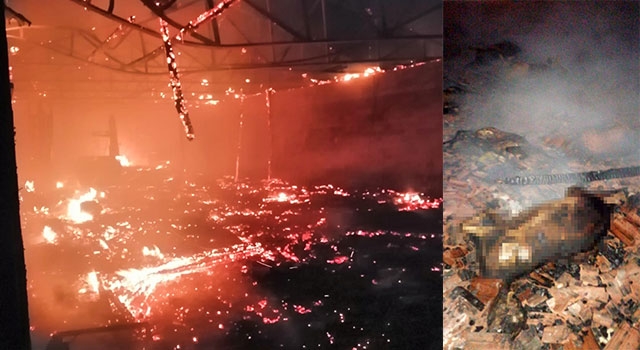 Tavşanlı’da çıkan ahır yangınında 47 koyun telef oldu