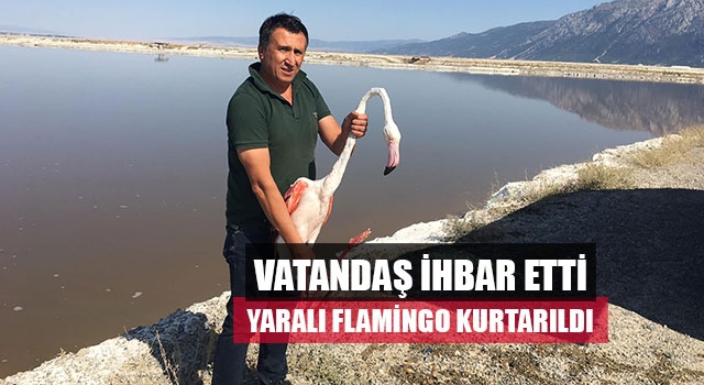 Vatandaş İhbar Etti Yaralı Flamingo Kurtarıldı