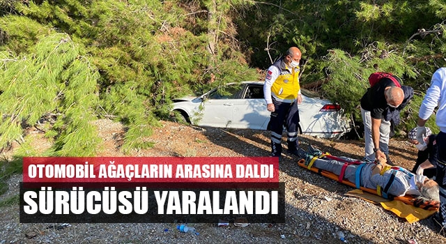 Otomobil ağaçların arasına daldı sürücü yaralandı