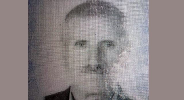 Akhisar'da Mustafa Ali Erkan kesdiği ağacın altında kalarak öldü