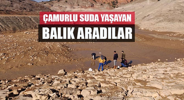 Çamurlu suda yaşayan balık aradılar