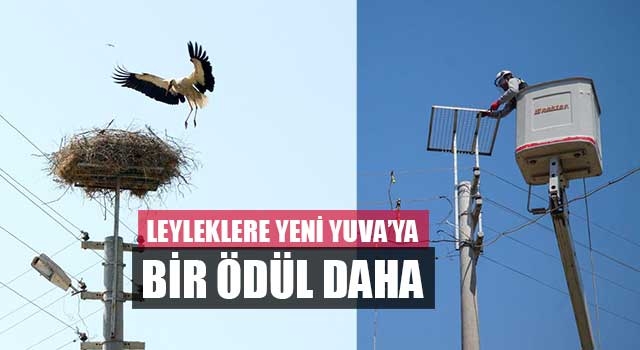 Leyleklere Yeni Yuva’ya Bir Ödül Daha