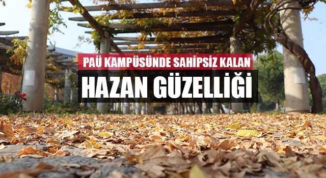 PAÜ kampüsünde sahipsiz kalan hazan güzelliği