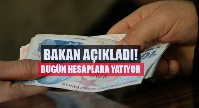 Bakan açıkladı! Bugün hesaplara yatıyor