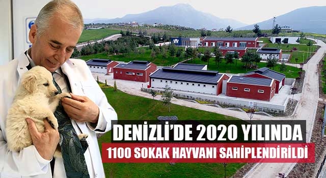 Denizli’de 2020 yılında 1100 sokak hayvanı sahiplendirildi