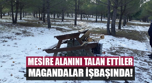 Denizli’de magandalar Borkurt’ta mesire alanını talan etti