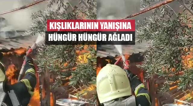 Kışlıklarının yanışına hüngür hüngür ağladı