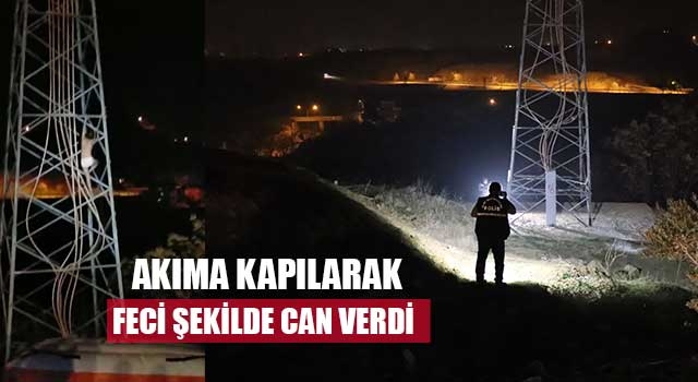 Yüksek gerilim hattına yine tırmandı bu sefer feci şekilde can verdi