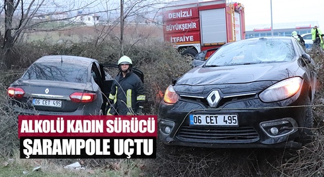Alkollü kadın sürücü şarampole uçtu
