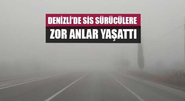 Denizli’de sis sürücülere zor anlar yaşattı