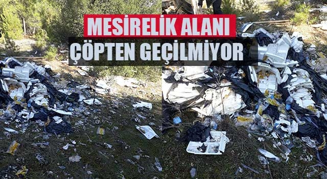 Mesirelik Alanı Çöpten Geçilmiyor