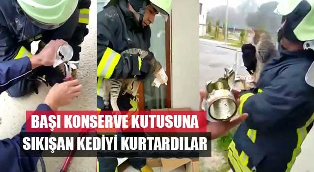 Başı konserve kutusuna sıkışan kediyi kurtardılar