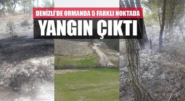 Denizli’de Ormanın 5 farklı noktasında yangın çıkardı