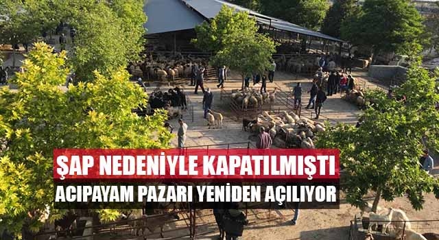 Denizli'nin Acıpayam ilçesinde şap yüzünden kapatılan hayvan pazarı yeniden açılıyor